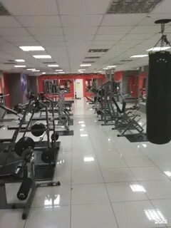 Гладиатор красноярск