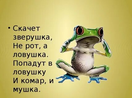 Больной зверек не отбивался а только жалобно