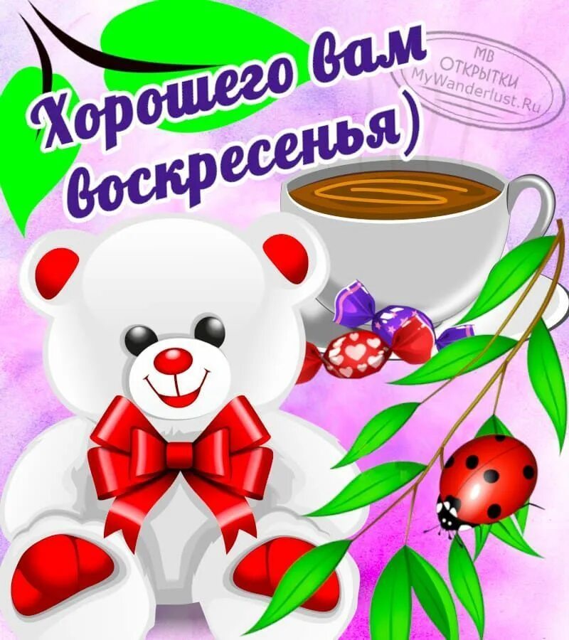 Хорошего воскресного. Открытки с добрым утром воскресенья. Открытка отличного дня воскресенье. Прикольные поздравления с воскресеньем. Доброго воскресного утра смешные