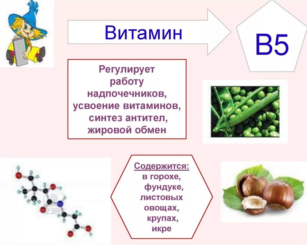 Что содержится в теме. Презентация по теме витамины. презентация по биологии на тему витамины. горох витамины. сообщение о витаминах.