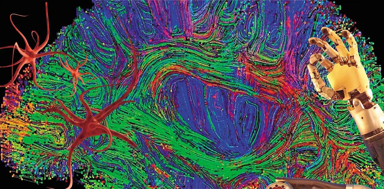 Нейронная карта мозга. Гибридно-мультимодальная визуализация мозга. Нейроанестезиология. Brain Maps Glow up. Enigma brain