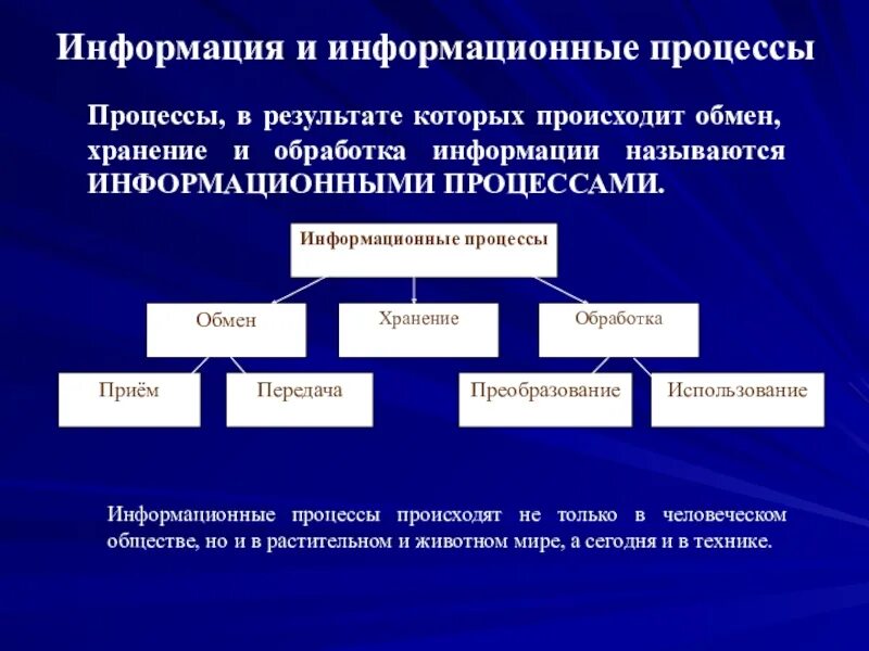 Какие именно процессы. Информационные прессы. Информационные процессы. Информационные процес. Основные информационные процессы в информатике.