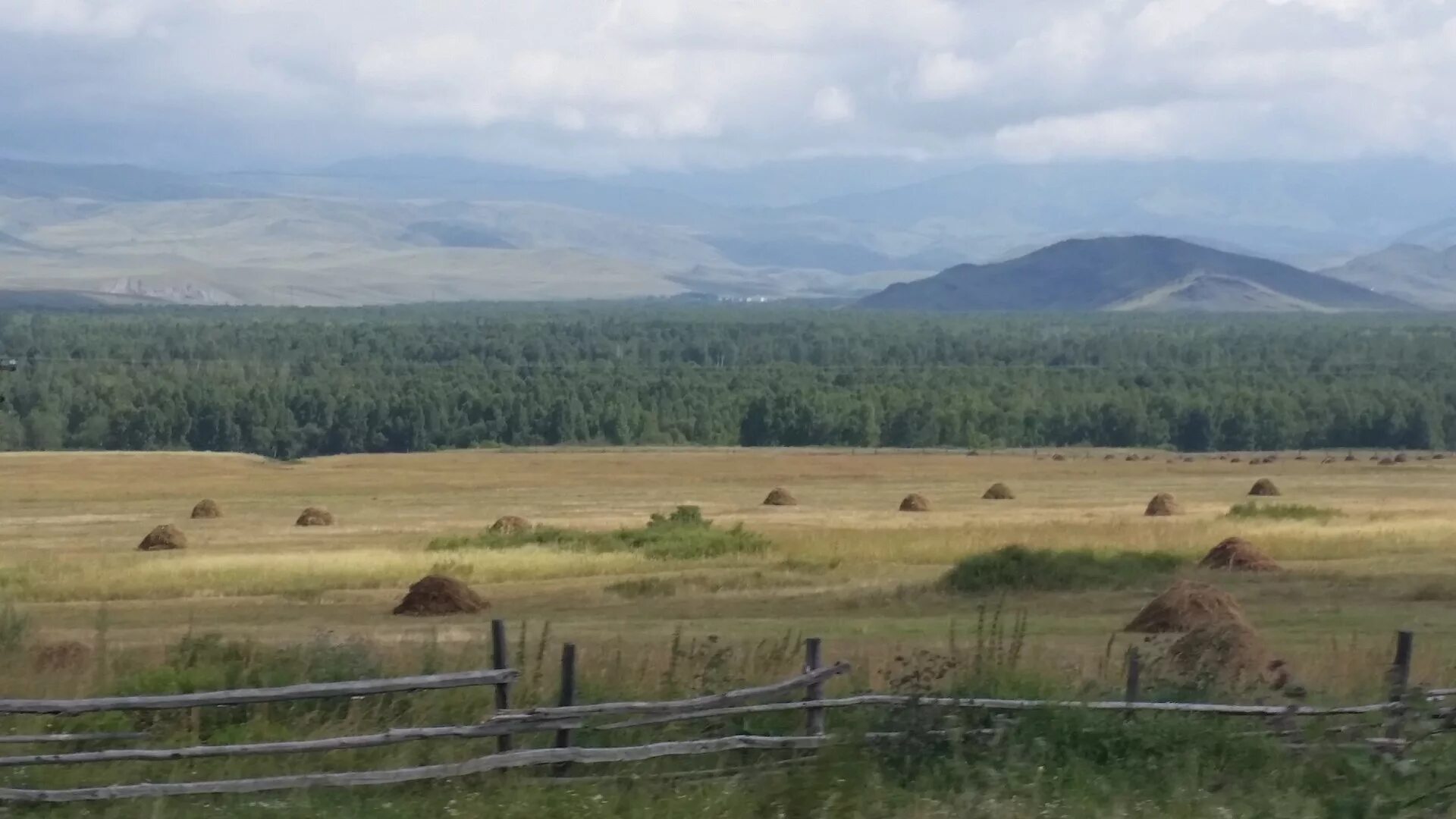 Лагерь карагай. Катон карагай. Карагай юрт. Природа кыргызстана жайлоо. Праздничная юрта.