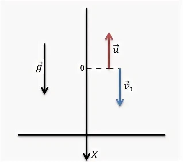 В направлении вертикально вниз однородном. Движение тела брошенного вертикально вниз формулы. График тела брошенного вертикально вниз. Задачи на движение тела вертикально вверх. Линейка 2 метра вертикально вниз.