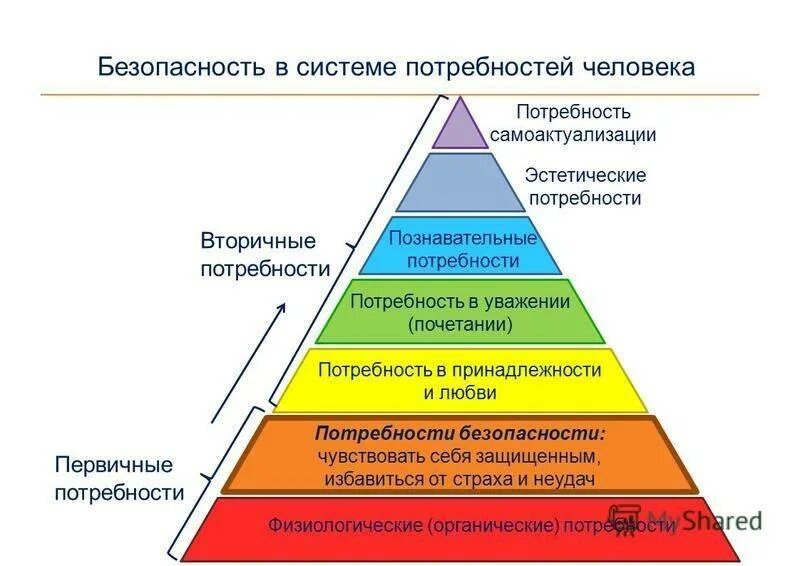 Потребности человека. Разнообразие человеческих потребностей. Потребность в безопасности. Специфика органических потребностей человека. Потребность в общении возникает