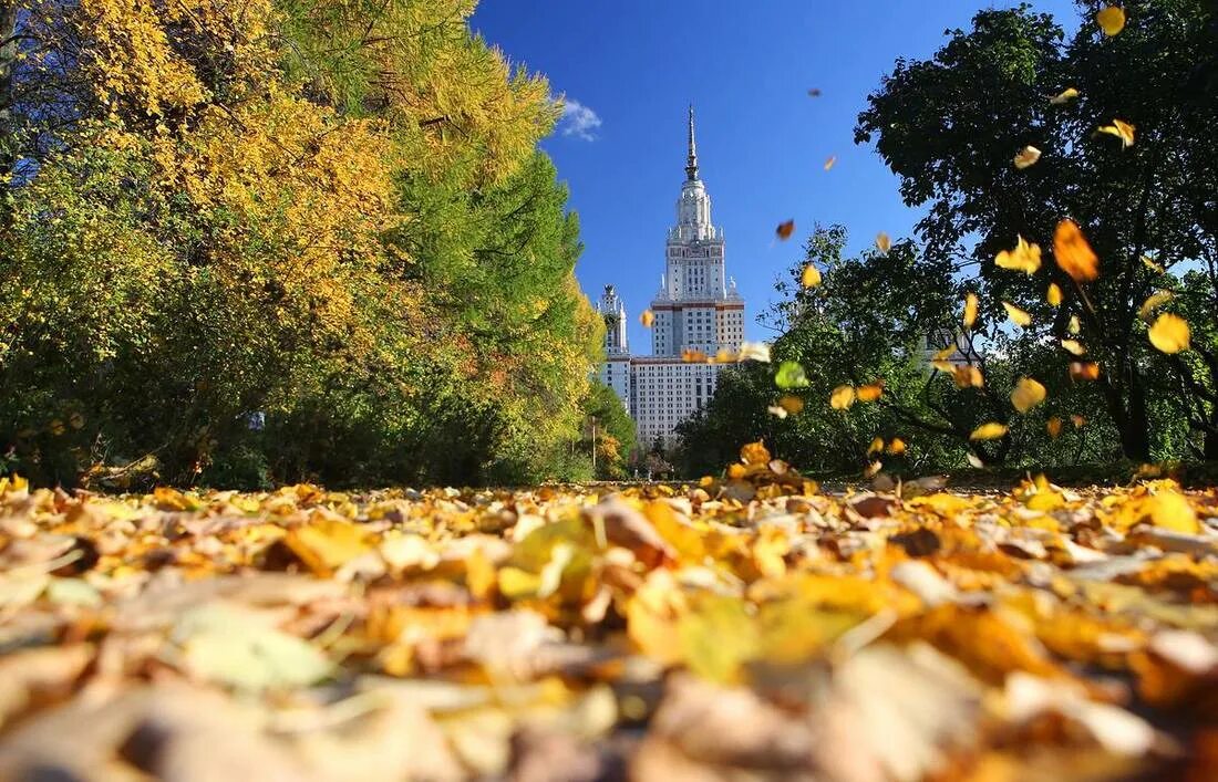 Погода конец сентября октябрь. Осень в городе. Осенний город. Осень в Москве. Солнечная осень в городе.