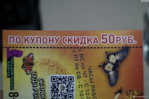 Бабочки в эль рио самара