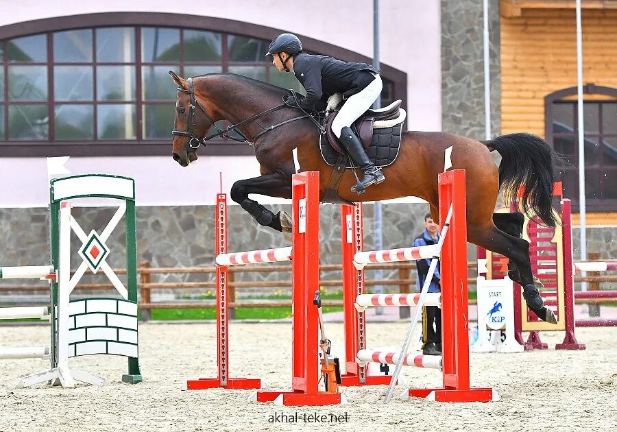 Федерация конного спорта город иркутск. Соревнования по конкуру 2024. Манеж конный нурлат. Кубок перми по конкуру. Соревнования по конкуру 2024.