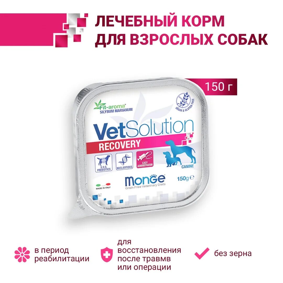 Сухой корм для собак monge vetsolution. Monge vetsolution для собак. монж дерматозис для собак. монж дерматозис для кошек. monge recovery для собак.