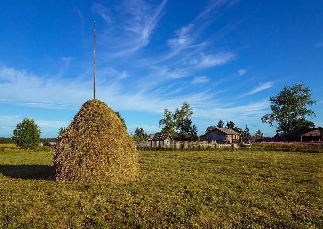 Сено 62. Сенокос в деревне. Лето в деревне сенокос. Деревня поле сенокос. Калязин. Скирда. Стог..