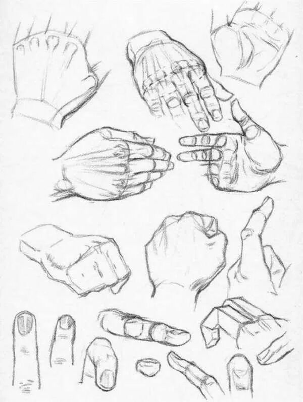 Кулак референс сбоку. Рука в кулаке сбоку референс. Руки для рисования. Кисти рук для рисования.