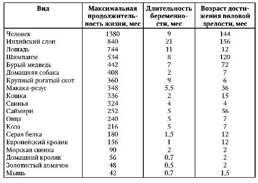 Сколько живут лен