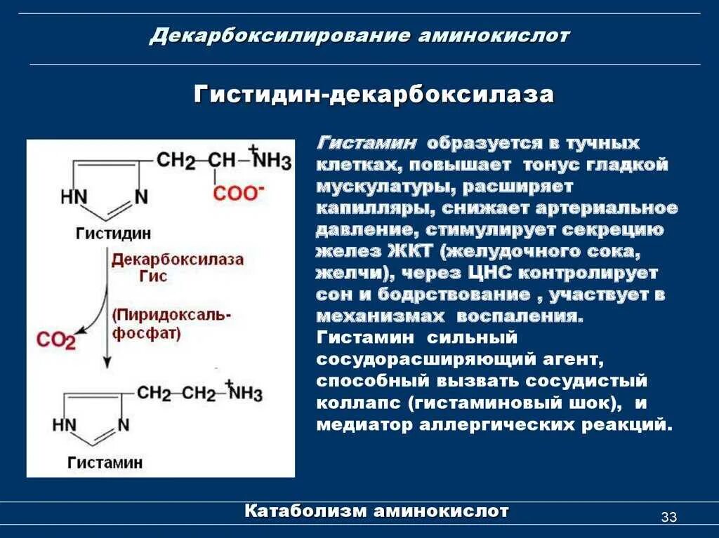 Высокое содержание гистамина