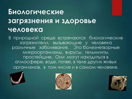 Биологическое загрязнение это