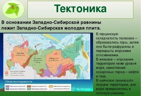 Тектоническая структура индийская платформа форма рельефа