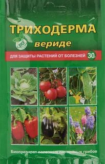 Обработка почвы в теплице триходермой осенью