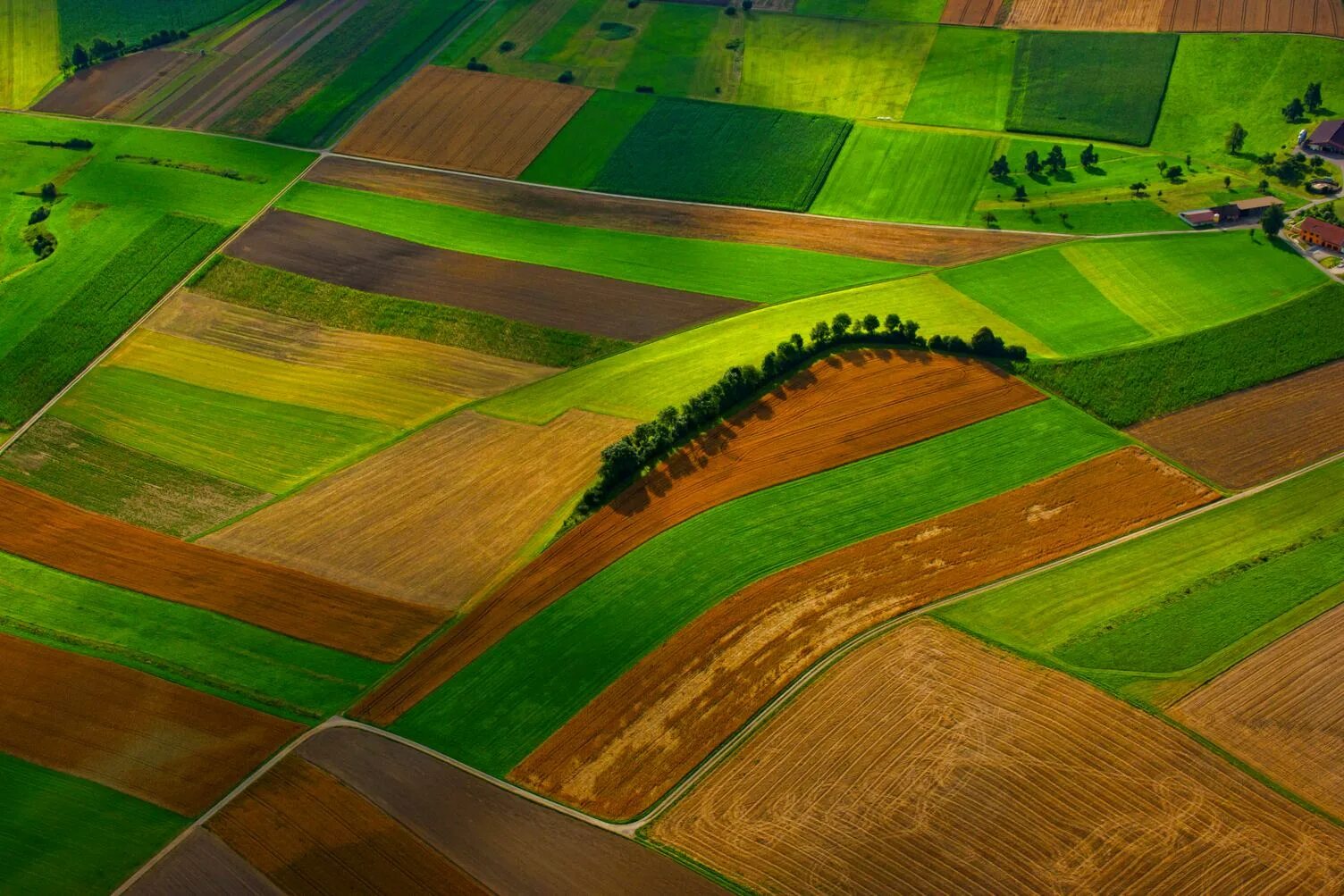 Simple fields
