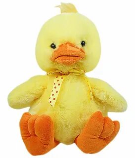 Fluffing duck