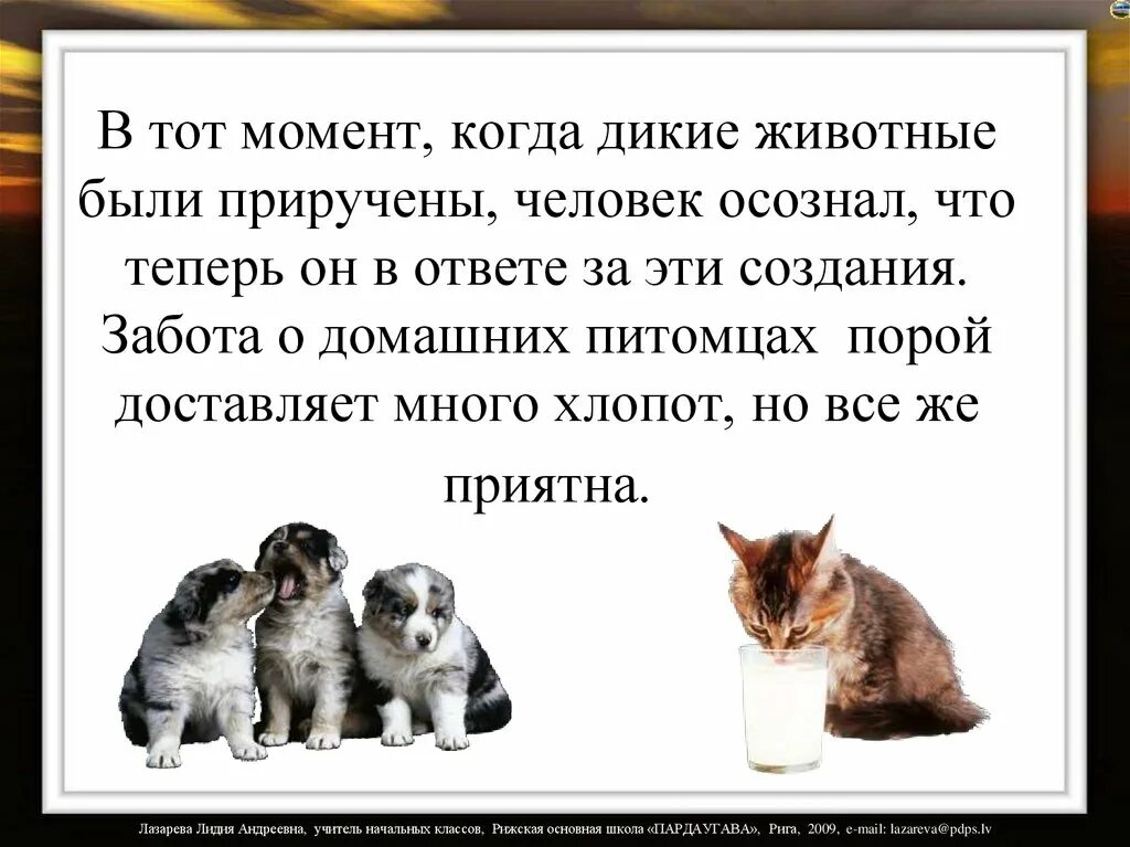 1 домашним животным была