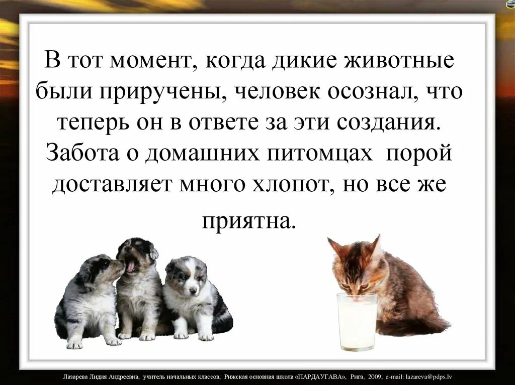 Забота о домашних животных. Фразы про домашних животных. Статья о домашних животных. Стихи про домашних животных для детей. Содержание диких животных в качестве сочинение