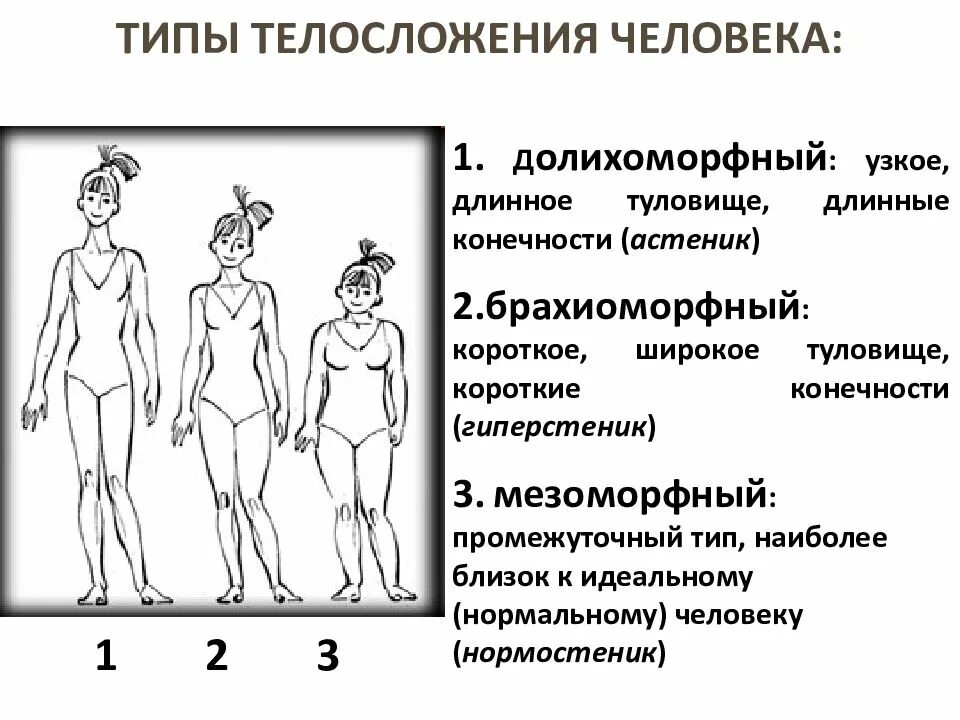 Физические данные тест. Типы Конституции тела человека астеник. Типы телосложения человека брахиморфный мезоморфный. Три основные типы телосложения. Конституция человека морфологические типы Конституции.