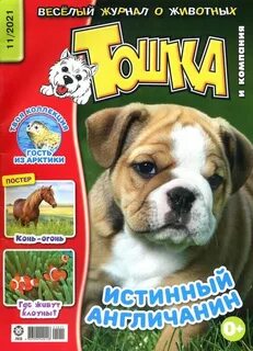 Тошка