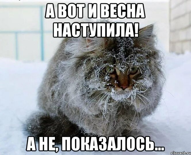 Никак наступит