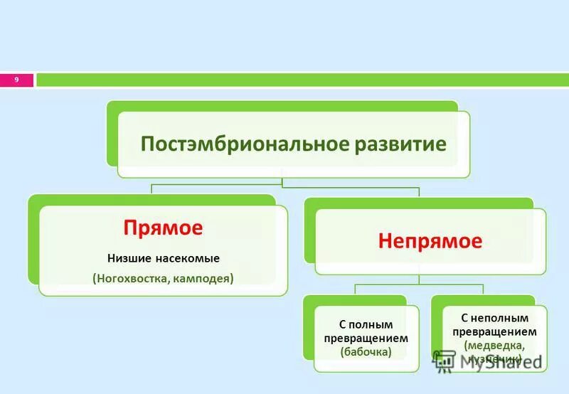 Типы постэмбрионального развития организма