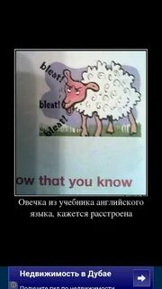 Как говорит барашек