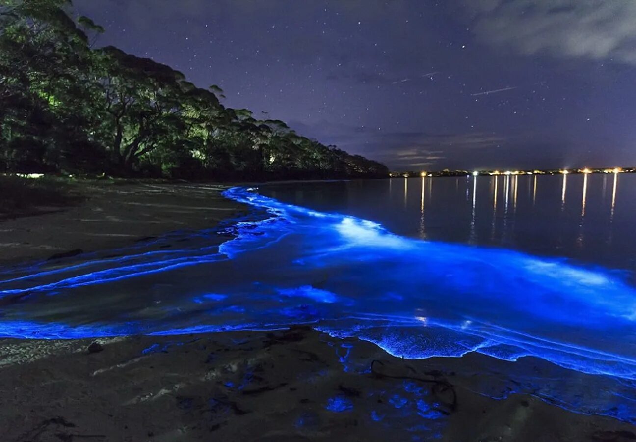 остров ваадху мальдивы. биолюминесцентный залив - вьекес, пуэрто-рико. токийский залив ночесветка. ночесветка средиземное. озеро гипселенд австралия.