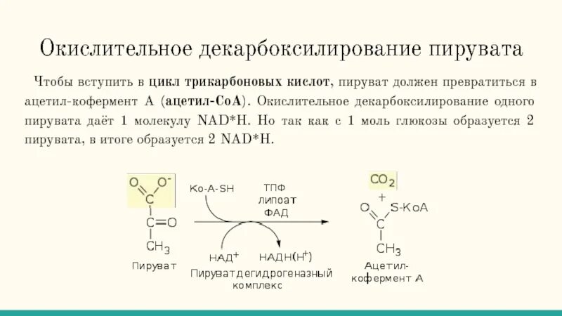 Реакция декарбоксилирования пирувата. Схема реакции окислительного декарбоксилирования пирувата. Окислительное декарбоксилирование ПВК стадии. В реакции прямого декарбоксилирования пировиноградной кислоты. Окисление пировиноградной кислоты этап