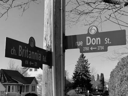 Don st