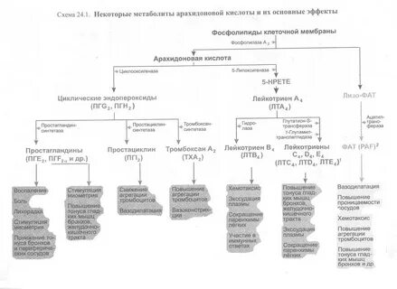 Кислого схема