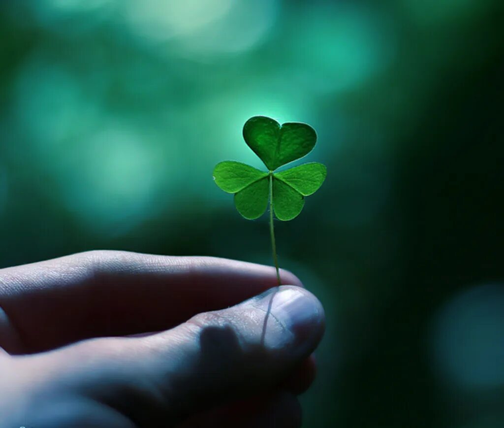 на удачу. достаток богатство. привлечение удачи. денежный дождь. деньги богатство изобилие.