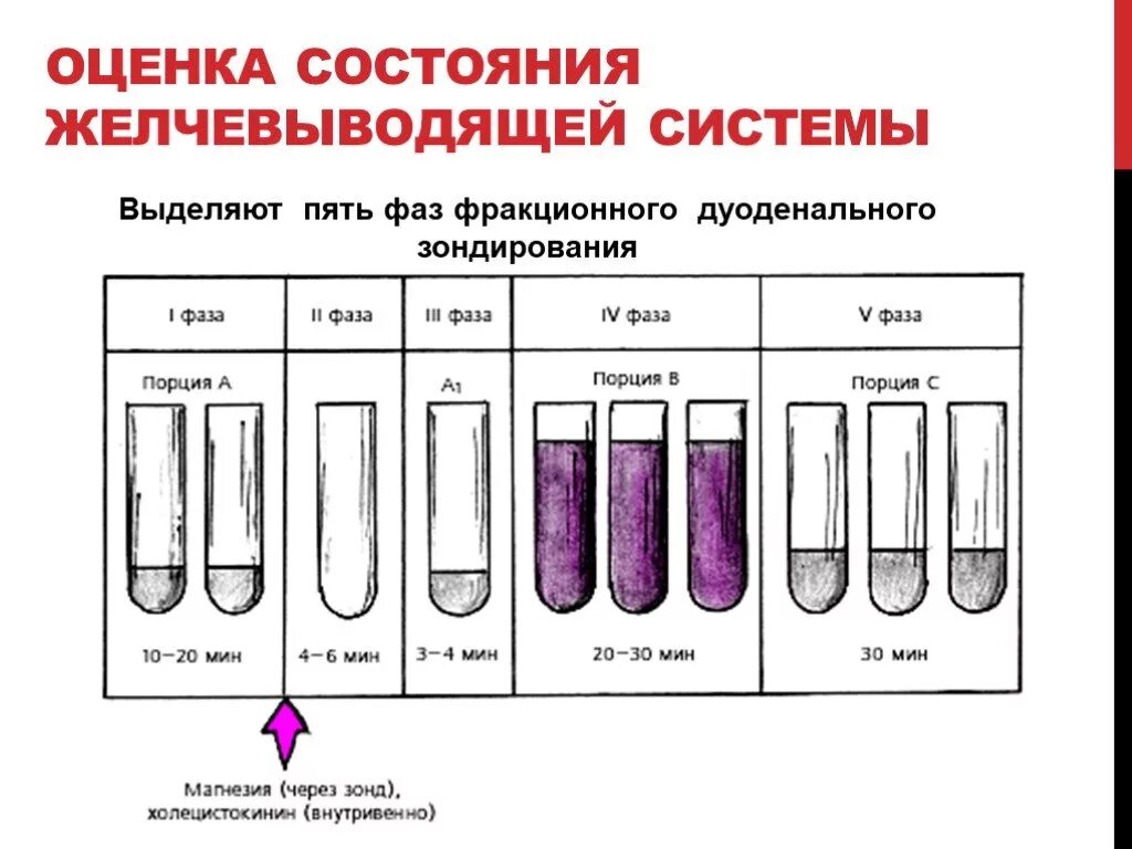 Фракционное желудочное зондирование схема. Порции фракционного желудочного зондирования. Описать 5 фаз фракционного дуоденального зондирования.. Дуоденальное зондирование лабораторное исследование. Выделение отдельного этапа