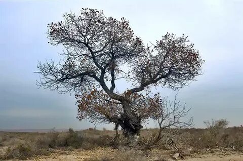 Әйелдерге арналған спорттық войеризм бейнелері