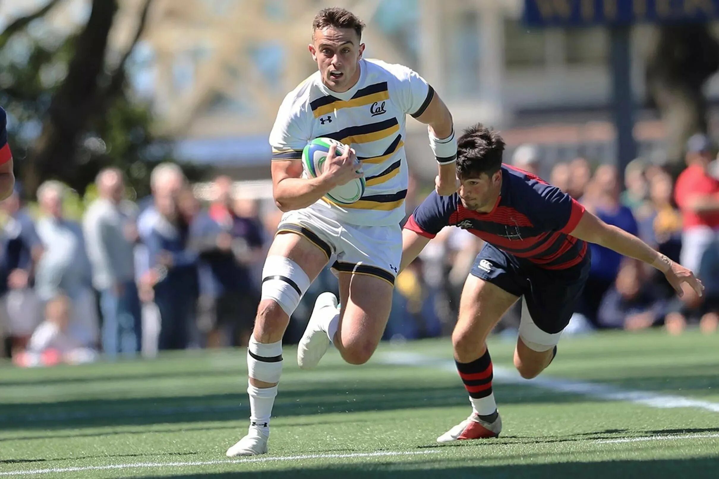 Rugby football. Спорт в Англии регби. Рид Райли регби. Ульрих Байерс регби. Sport Великобритания регби.