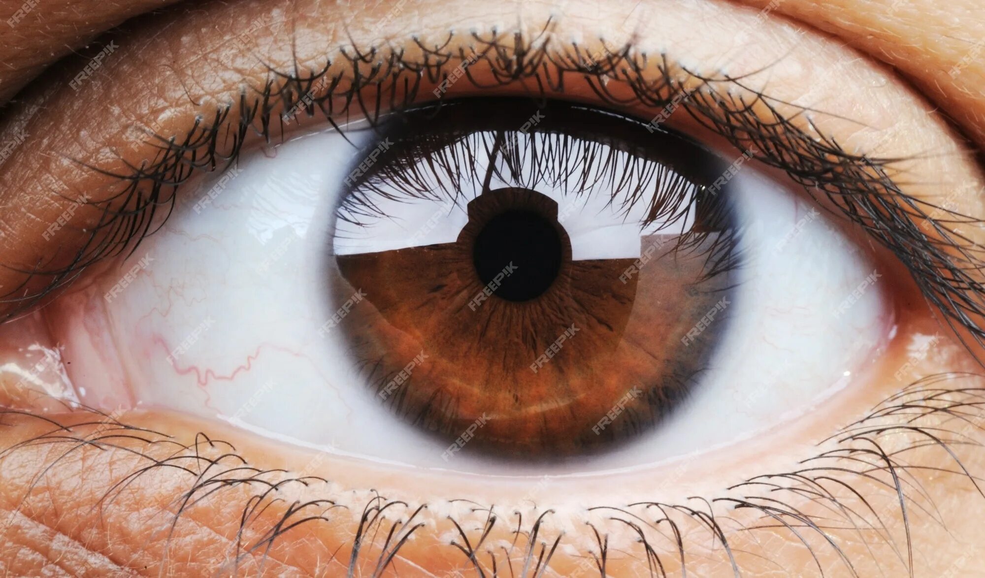 Цвет глаз человека определяется пигментацией. Коричневые глаза. Коричневый цвет глаз. Карие глаза мужские. Глаз человека.