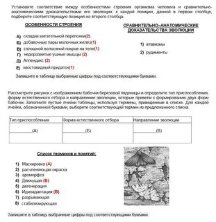 Установите соответствие между особенностью строения