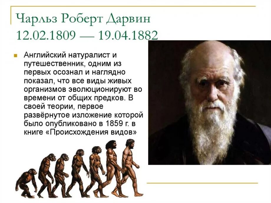 Первая теория дарвина. Эволюционная теория Чарльза Дарвина.