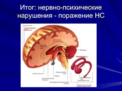Нервно психическими нарушениями
