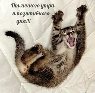 Проснулись подтянулись
