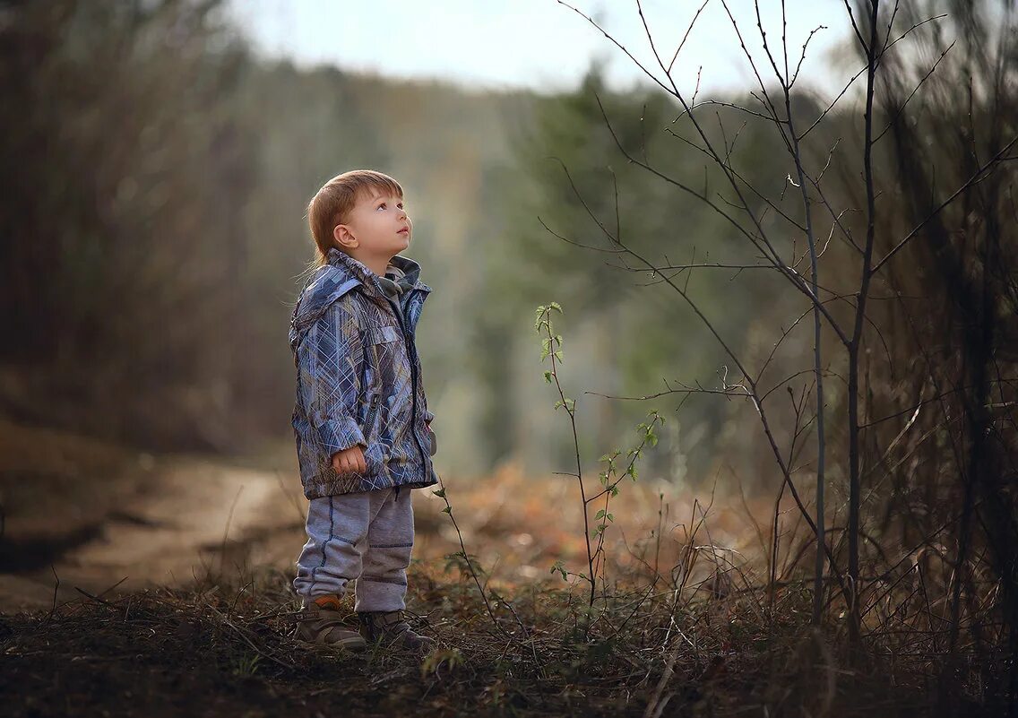 Лес мальчики деревья. Малыши. Малыш один в лесу. Мальчик был в лесу был это. Заблудившийся в лесу детский.