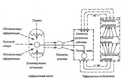 Система поведенческого акта