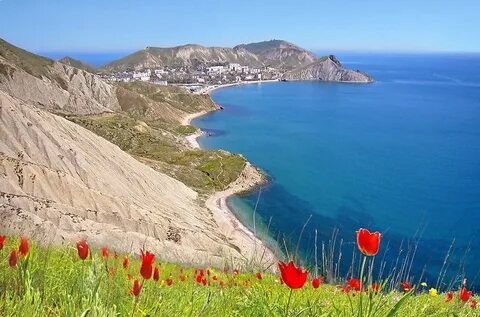 Киммерия кулешовка