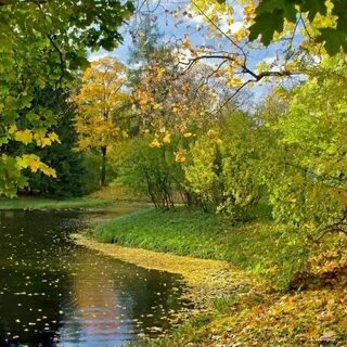 Красивое начало осени картинки
