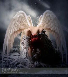 Книга angel