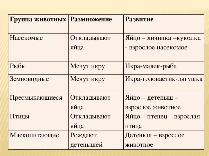 Земноводные пресмыкающиеся млекопитающие птицы таблица 7 класс. Характеристика классов признаки рыбы земноводные таблица. Таблица по биологии 7 класс класс рыбы,амфибии, рептилии. Общая характеристика земноводные таблица с примерами. Сходства и различия млекопитающих и пресмыкающихся