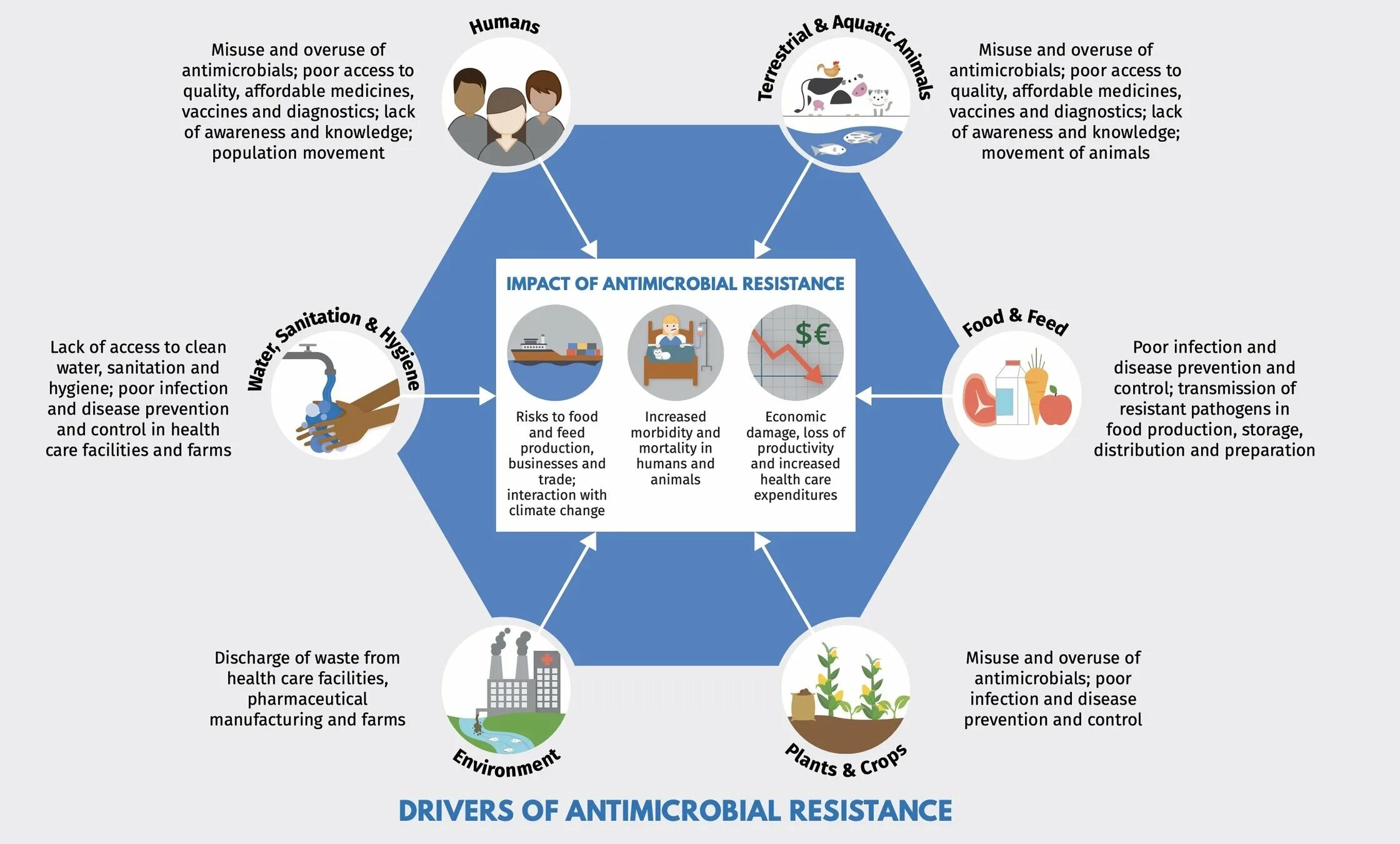 Antimicrobial Resistance. One Health. Drug-Resistant infections. Healthcare waste Management & infection Prevention and Control.
