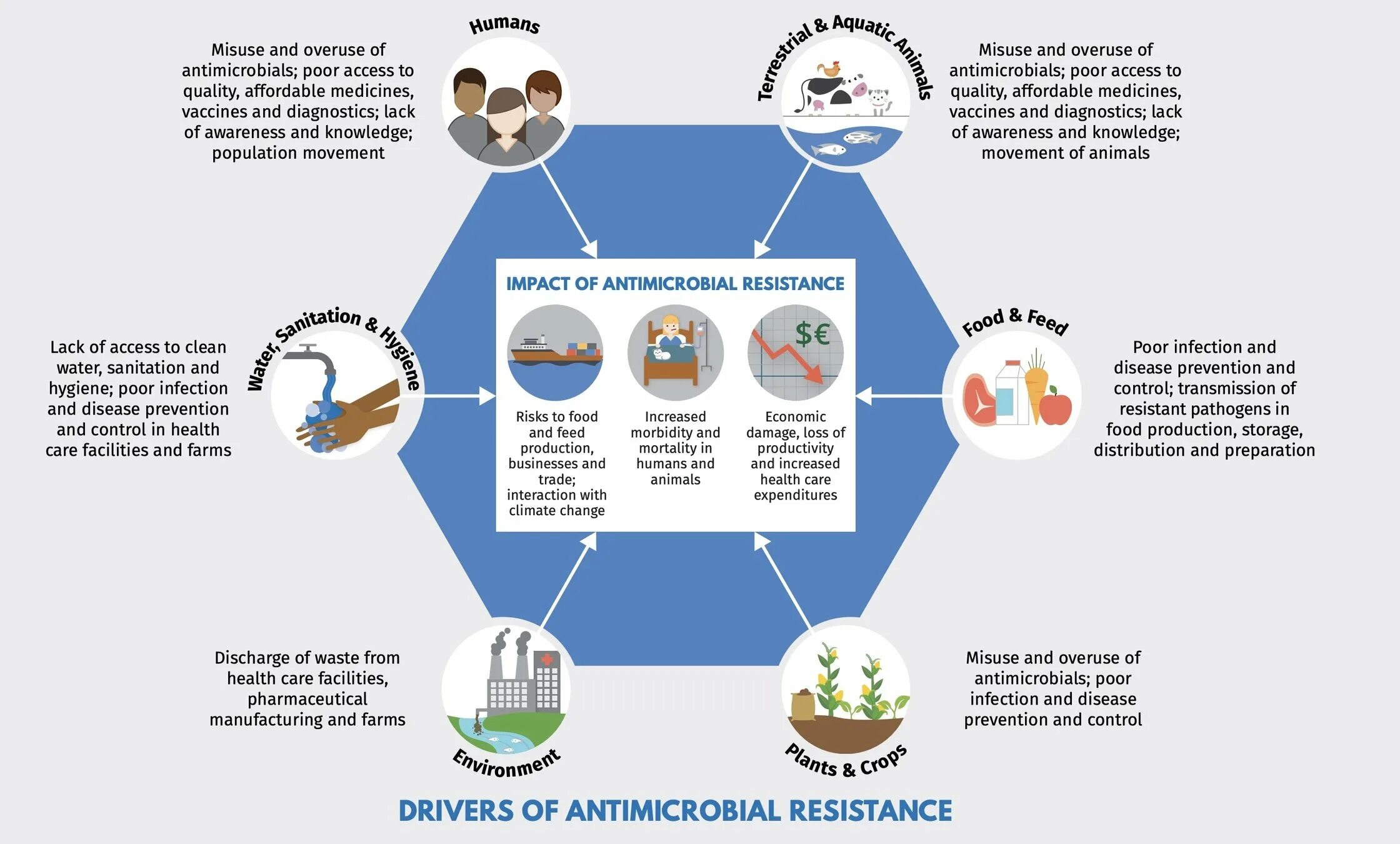 Health risks. Antimicrobial Resistance. One Health. Drug-Resistant infections. Healthcare waste Management & infection Prevention and Control.